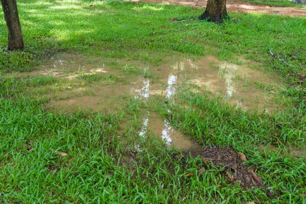 Storm Water Drainage Service in Littleton