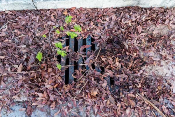 Yard Drain Unclogging in Littleton