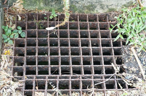 Yard Drain Cleaning in Littleton
