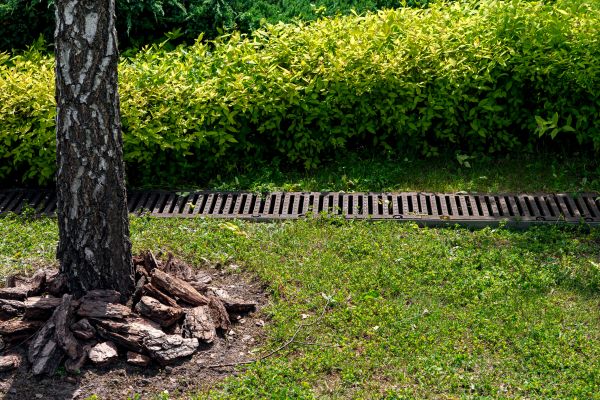 Wet Yard Drainage in Littleton
