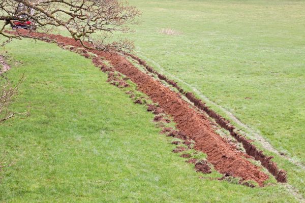 Cost of Swale Installation in Littleton