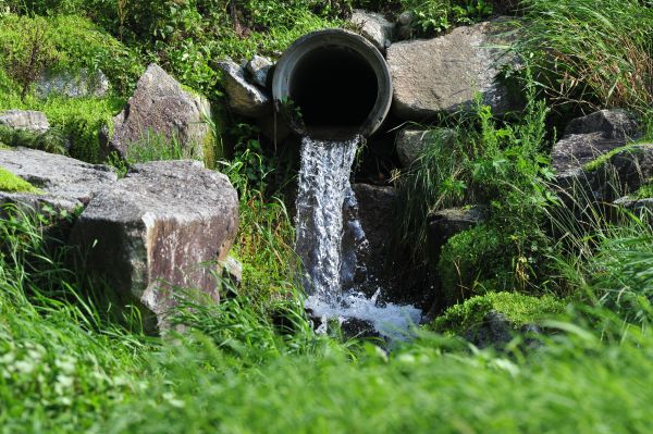 Water Redirection in Littleton
