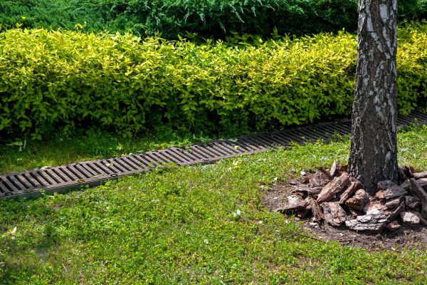 Residential Landscape Drainage in Littleton