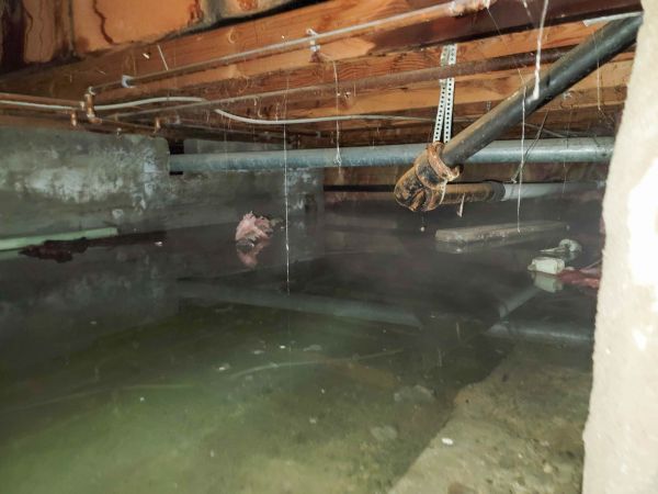 Cost of Crawlspace Drainage in Littleton