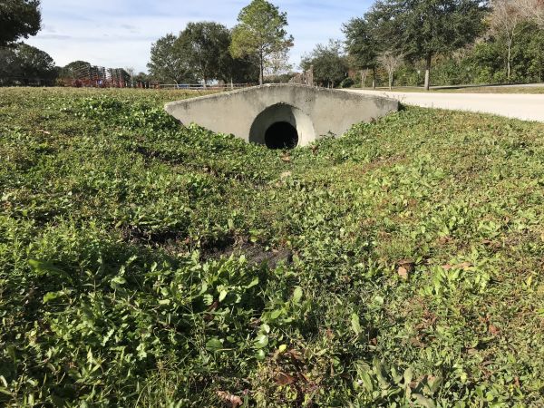 Cost of Swale Drainage Service in Littleton