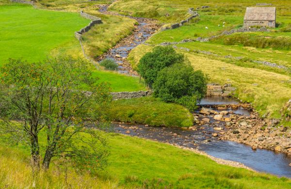 Swale Repair in Littleton