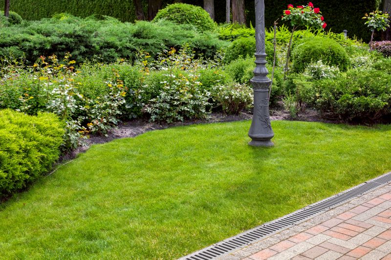 Custom Landscape Drainage Solutions